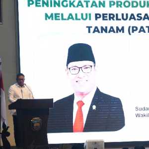 Kementerian Pertanian Targetkan 97.000 Hektare Perluasan Areal Tanam Padi di Sumut