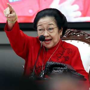 Megawati Digugat Kader Banteng ke PN Jakpus