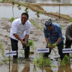 Kejar Masa Tanam, Wamentan: Tata Kelola Pupuk Perlu Diperbaiki agar Sampai ke Petani