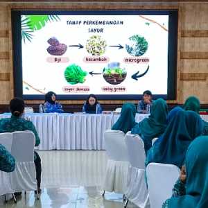 Pemko Medan Kembangkan Budidaya Microgreen dan Potensi Kewirausahaan