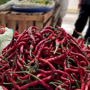 Stok Melimpah, Harga Cabai Keriting Terjun Bebas di Banda Aceh