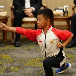 Wushu Junior