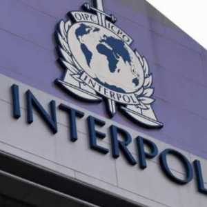 Maroko Terpilih Jadi Wakil Presiden Interpol untuk Afrika