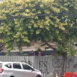 Pekerja proyek masih mengerjakan renovasi rumah 2 lantai di Jalan Imam Bonjol, Menteng, Jakarta Pusat/RMOL