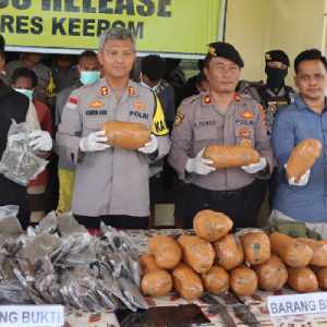 Tiga WNA Tertangkap Kasus Peredaran Ganja di Papua