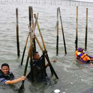 Cabut Pagar Laut