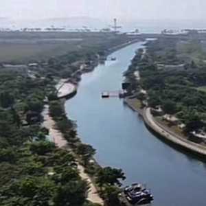 Tak Asal Bangun, PIK 2 Jaga Kelestarian Habitat Burung dan Hutan Mangrove