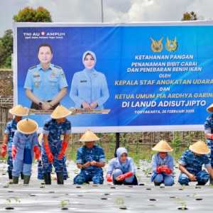 KSAU Manfaatkan Lahan Tidur untuk Ketahanan Pangan di Lanud Adisutjipto