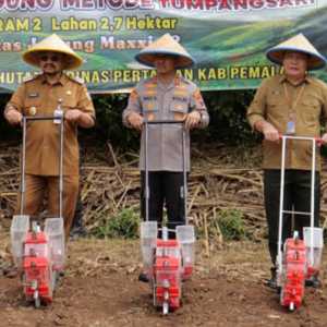 Dukung Ketahanan Pangan, Polres Pemalang Tanam Jagung dengan Sistem Tumpangsari