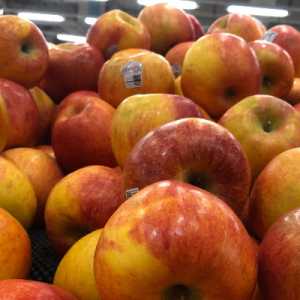 Klaim Cuka Apel Bisa Turunkan Berat Badan Ternyata Salah