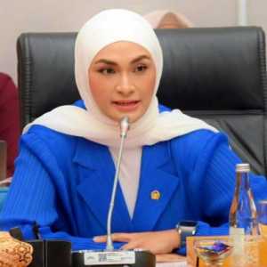 Ketua Fraksi PAN DPR, Putri Zulkifli Hasan. (Dok. Fraksi PAN)