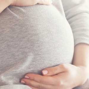 Tak Ada Bukti Ilmiah Air Galon Polikarbonat Berbahaya