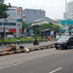 Di sepanjang Jalan Metro Pondok Indah, tampak bekas-bekas tunggul pohon palem yang sudah ditebang (Foto: RMOL/Faisal Aristama)