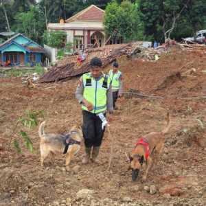 Ratusan Polisi Dikerahkan Cari Korban Longsor di Cilacap