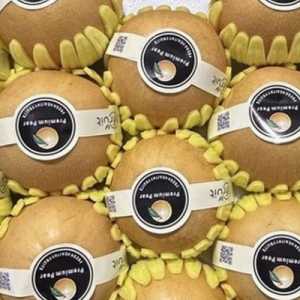 Ekspor Pir Hebei ke Indonesia Kembali Pulih