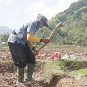 Petani Wonogiri Terima Bantuan Senilai Rp23 Miliar
