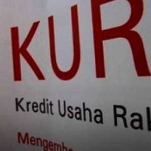 KUR di Bawah Rp100 Juta Bebas Agunan, Bank Nakal Bakal Diberi Sanksi