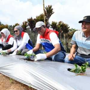 Pertamina 'Tanam' Edukasi Keberlanjutan lewat Program Desa Berdikari