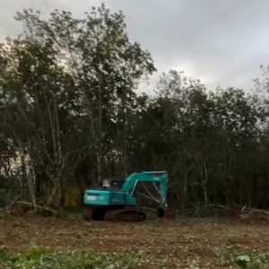 PTPN Siapkan Lahan Huntara di Sumut dan Aceh