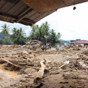 UU Perampasan Aset jadi Formula Penghitungan Kerugian Ekologis