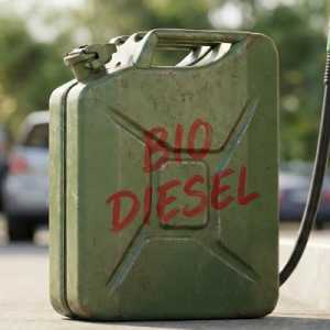 PSO dan Non-PSO Jadi Fokus Alokasi Biodiesel 2026, Total 15,65 Juta KL