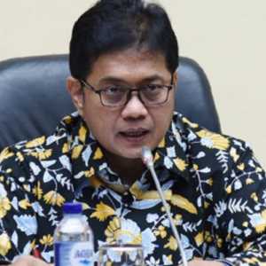 Waketum PAN Sebut Kritik sebagai Vitamin yang Menguatkan Pemerintah