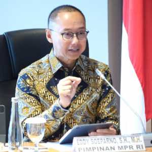 MPR Pasang Badan Presiden Sikat Pembalak Liar