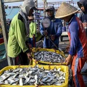 KKP Perlu Konsisten Lakukan Pengendalian Penangkapan Ikan