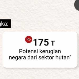 Potensi Kerugian Negara dari Kerusakan Hutan Capai Rp175 Triliun