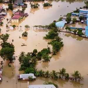 Hutan, Sawit, Tambang, dan Senjakala Peradaban Sumatera