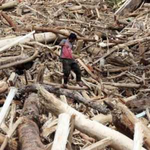 Audit Izin Perusahaan Diduga Penyebab Banjir!