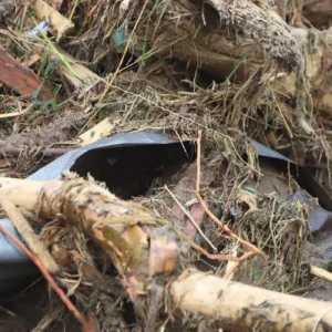 Bareskrim Selidiki Dugaan Kayu Illegal Logging yang Terbawa Banjir di Aceh, Sumut, dan Sumbar