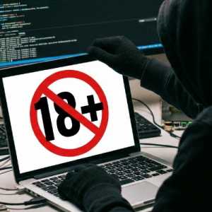 Kelompok Hacker ShinyHunters Ancam Bocorkan Data Pelanggan Premium Situs Dewasa