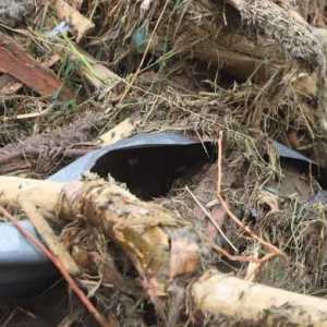 Banjir Sumatera jadi Alarm Keras Rawannya Kondisi Ekologis