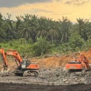 Tepuk Tangan Pemerintah Berani Cabut Izin Tambang, tapi Tunggu Dulu!
