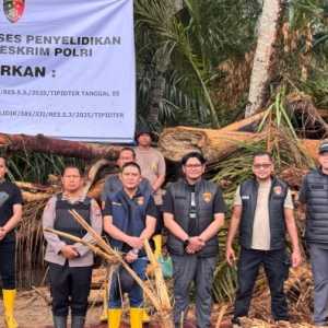 Bareskrim Tingkatkan Status Kasus Illegal Logging di Sumatera Utara ke Penyidikan