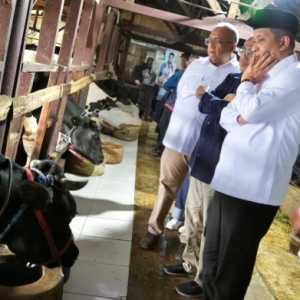 Menkop Dorong Koperasi Peternak Pangalengan Berbasis Teknologi Terintegrasi