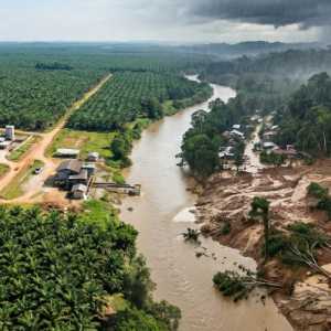 Sawit Sumatera: Mesin Ekonomi Triliunan Rupiah versus Ancaman Lingkungan Hidup