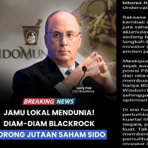 BlackRock Pede Borong Saham SIDO: Ini Dua Alasan Investor Global Agresif