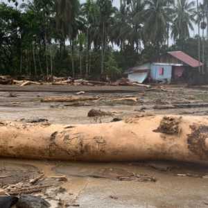 Banjir Sumatera Peringatan Keras agar Tata Kelola Hutan Wajib Dibongkar Total