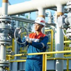 Pakar Apresiasi Pertamina: Kontribusi Vital dalam Pencapaian Target Lifting Minyak 2025