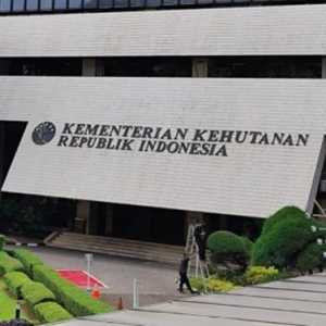 Kemenhut Sebut Kejagung Hanya Mencocokkan Data, Bukan Penggeledahan