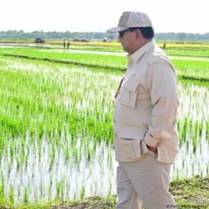 Swasembada Harus Berdampak pada Stabilitas Harga Pangan