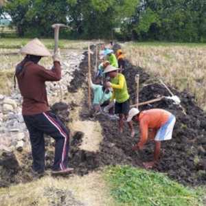 Program Jatim Agro Sukses Sejahterakan Petani dan Peternak