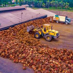 Konsisten Budaya Keselamatan, Kunci PTPN IV PalmCo Catat 23 Juta Jam Zero Accident