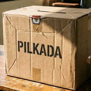 Penundaan Revisi UU Pilkada Bisa Picu Persoalan Baru