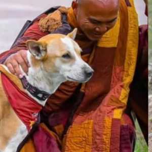 Aloka dan Kerukunan Umat Beragama