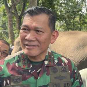 Pangdam XXI/Radin Inten Siap Terlibat Mitigasi Konflik Gajah di TNWK