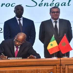 Senegal Dukung Kedaulatan Maroko atas Sahara: Solusi Paling Realistis