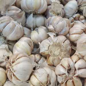 Bawang Putih Impor Bakal Masuk Pasar, Kemendag Targetkan Harga Jinak Sebelum Ramadan